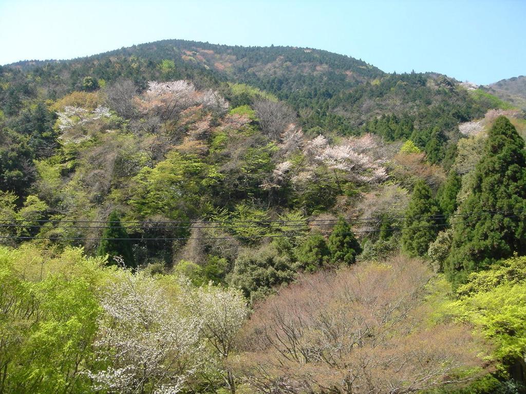 Kamata Hotel Yugawara Luaran gambar